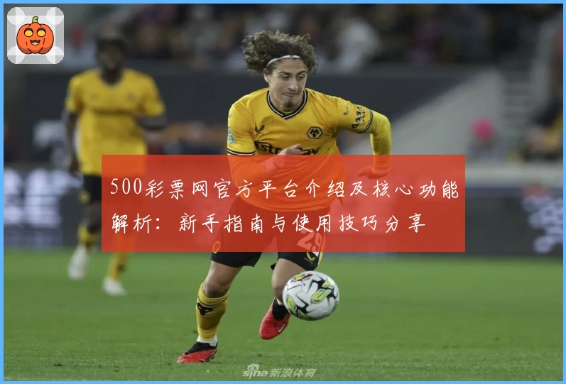 500彩票网官方平台介绍及核心功能解析:新手指南与使用技巧分享